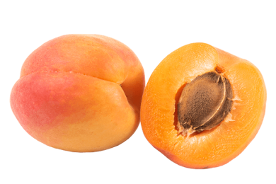 Apricot