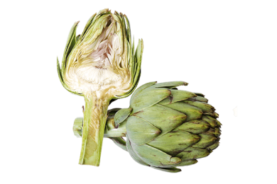 Artichoke